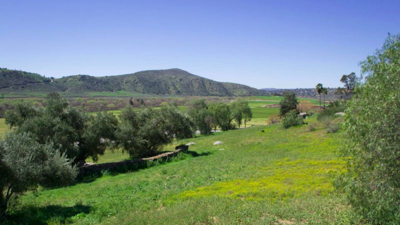 San Pasqual Valley, San Diego - Busy Bees Locks and Keys Inc.